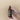 Balsam & Cedar - 4 oz Amber Glass Room + Linen Spray